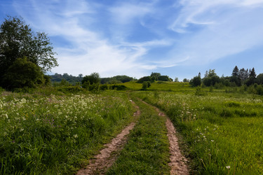 Similar image 21978445