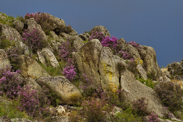 Similar image 21980463