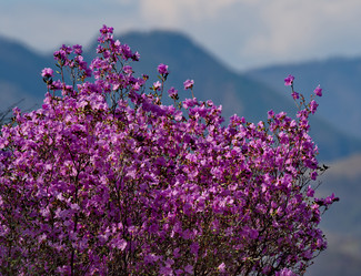 Similar image 21980466