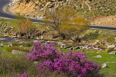 Similar image 21980467