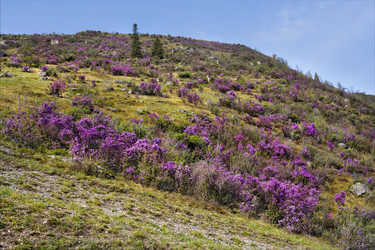 Similar image 21980468