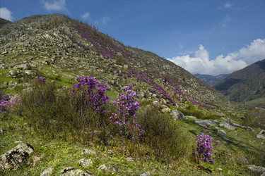 Similar image 21980469