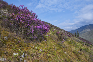 Similar image 21980470