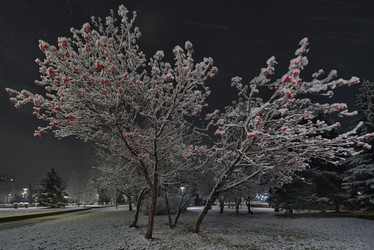 Similar image 21986079