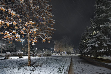 Similar image 21986081