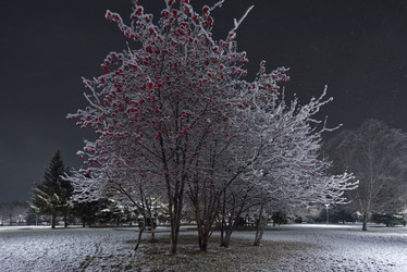 Similar image 21986085