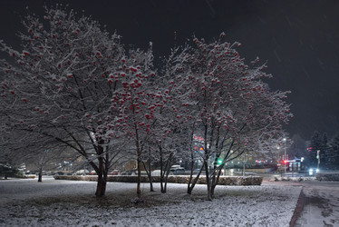 Similar image 21986087