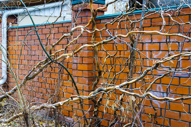 Similar image 21989394