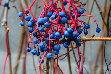 Similar image 21989395