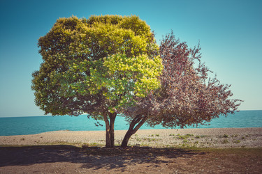 Similar image 21977106