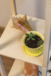 Similar image 21978502