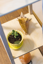 Similar image 21978503