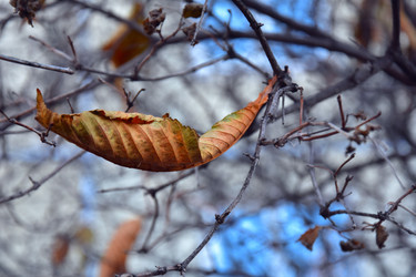 Similar image 21989399