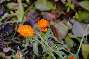 Similar image 21989400