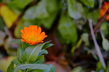 Similar image 21989401