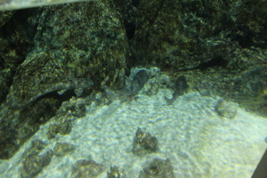 Similar image 21989234