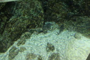 Similar image 21989235