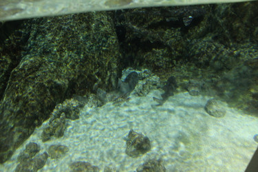 Similar image 21989236