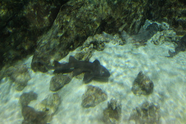 Similar image 21989237