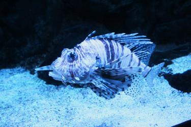 Similar image 21989239