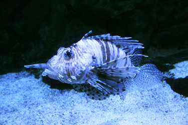 Similar image 21989240