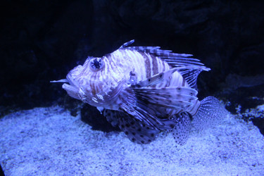 Similar image 21989241