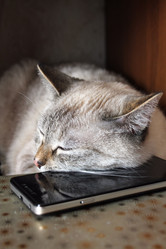 Similar image 21977111