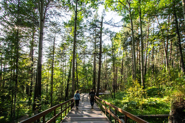 Similar image 21977854