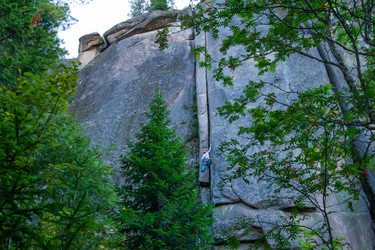 Similar image 21977855