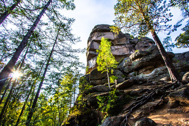 Similar image 21977857