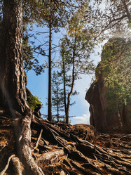 Similar image 21977861