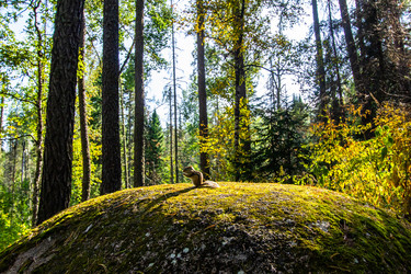 Similar image 21977865