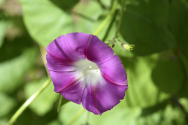 Similar image 21978909