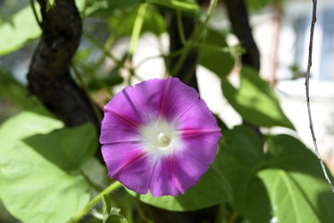 Similar image 21978910