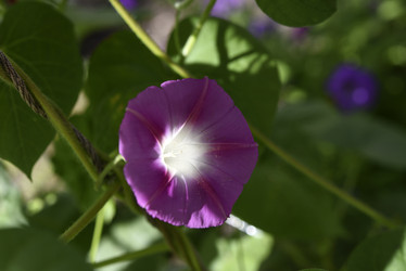 Similar image 21978911