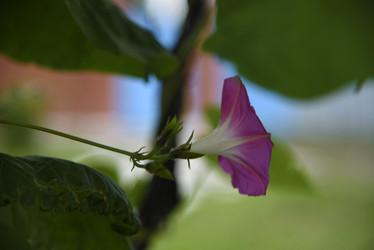 Similar image 21978914