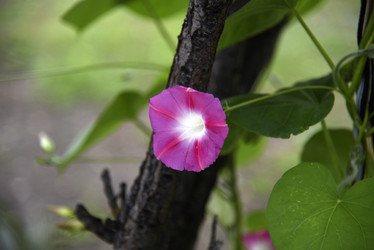 Similar image 21978915