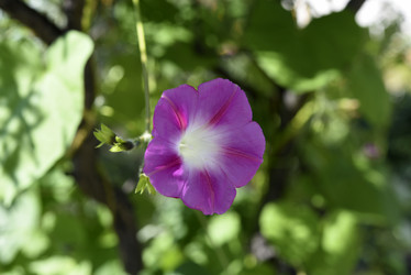 Similar image 21978916