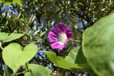 Similar image 21978917