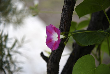 Similar image 21978918