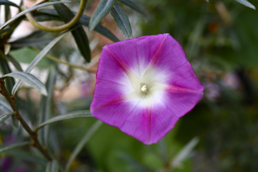 Similar image 21978920