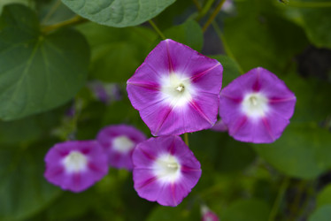 Similar image 21978921