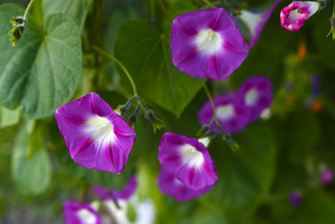 Similar image 21978922