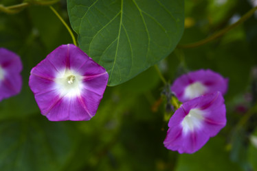 Similar image 21978923