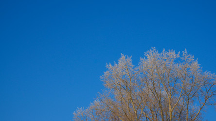 Similar image 21977286