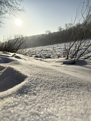 Similar image 21978253