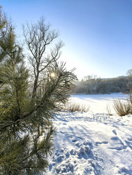 Similar image 21978256