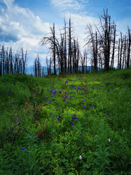 Similar image 21978257