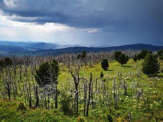 Similar image 21978266