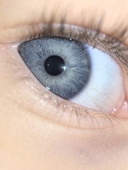 Similar image 21978267